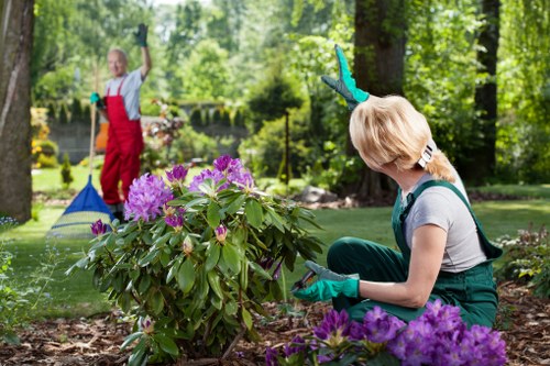 Illustration of website cookies and privacy settings for Landscapers Leyton