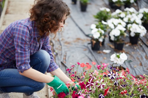 Professionals mowing a well-maintained lawn in Leyton