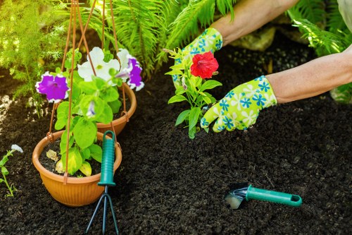 Customer raising a landscaping complaint during project review