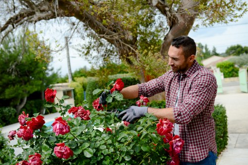 Risk assessment and safety planning before landscaping work begins