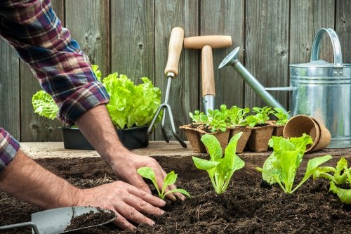 Eco-friendly tree removal practices in Leyton