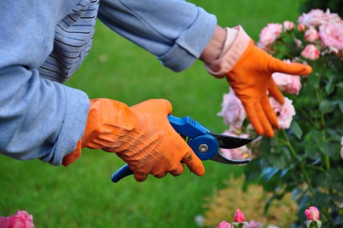 Professional hedge trimming service in a Leyton garden