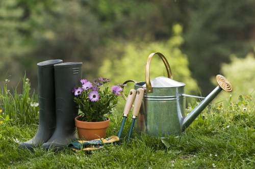 Healthy trees maintained by Leyton experts