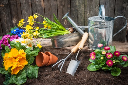Experienced lawn mowing team in Leyton