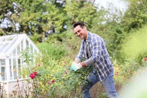 Cost-effective hedge trimming services in Leyton