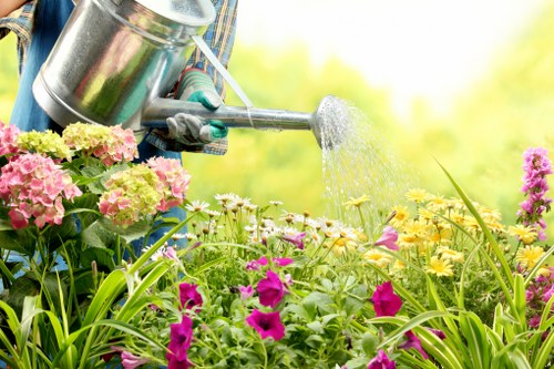 Seasonal garden maintenance in Leyton