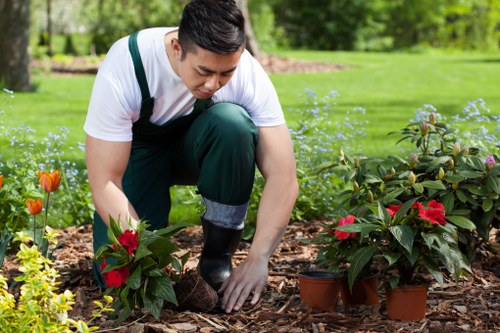 Pest management in a lush Leyton garden