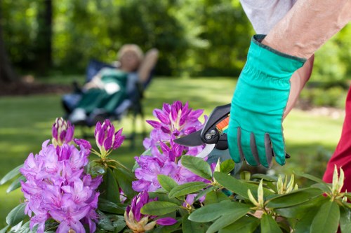 Leyton garden clearance team at work