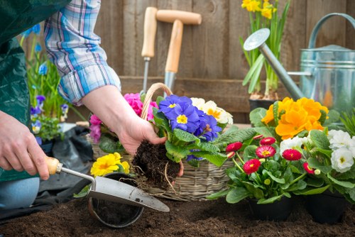 Healthy soil preparation for Leyton gardens