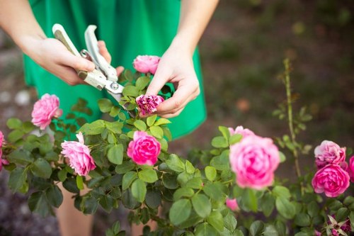 Eco-friendly lawn mowing practices in Leyton
