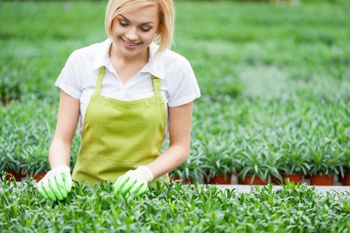 Diverse plant selection for Leyton gardens
