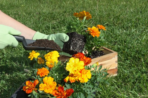 In a residential garden in Leyton, a gardener wearing light green gloves is planting vibrant orange and yellow marigolds into a wooden flower bed. The flower bed is rectangular, constructed from natural wood, and filled with dark soil. Surrounding the flower bed is a lush, well-maintained lawn with dense green grass. In the background, there are hints of other garden elements such as a few small shrubs and trees, contributing to a scenic outdoor environment. The scene is set during daytime with bright natural lighting, indicating clear weather, ideal for garden planting and outdoor maintenance activities. The image highlights gardening services related to flower bed creation and overall garden enhancement, demonstrating professional landscaping work by Landscapers Leyton in a typical UK outdoor setting.