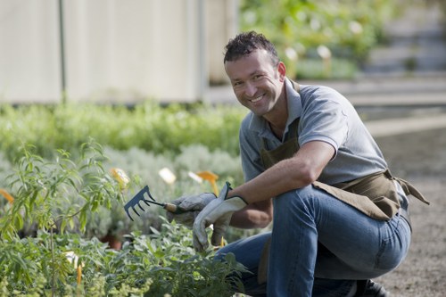 A man in casual clothing, wearing gloves, is crouched in a well-maintained garden, tending to a patch of green plants with a small gardening rake in his hand. The garden features a lush, green lawn area with neatly trimmed grass, bordered by a variety of plants and shrubs. In the background, a wooden fence and fencing panels provide privacy, while sunlight illuminates the scene, suggesting a clear, bright day. The garden appears landscaped with defined flower beds and pathways, indicating regular outdoor maintenance typical of local gardening services in Leyton. The overall environment shows a tidy, organized outdoor space with healthy vegetation, suitable for activities like planting, weed control, or general garden upkeep, aligning with the expertise of Landscapers Leyton in garden care and landscaping projects in the area.