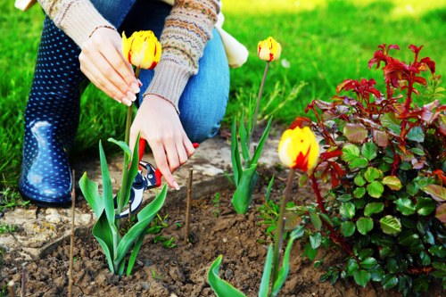 Sustainable landscaping practices by Landscapers Leyton